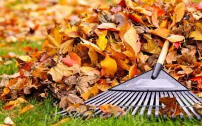 Outdoor Fall Cleaning Checklist